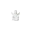 Online Rosenthal Engel Meditation