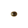 Hot Versace Milchkännchen 6 Pers. Dkl.