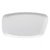 Hot Rosenthal Platte 36 x 21 cm