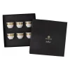 New Versace Set 6 Becher klein ohne Henkel