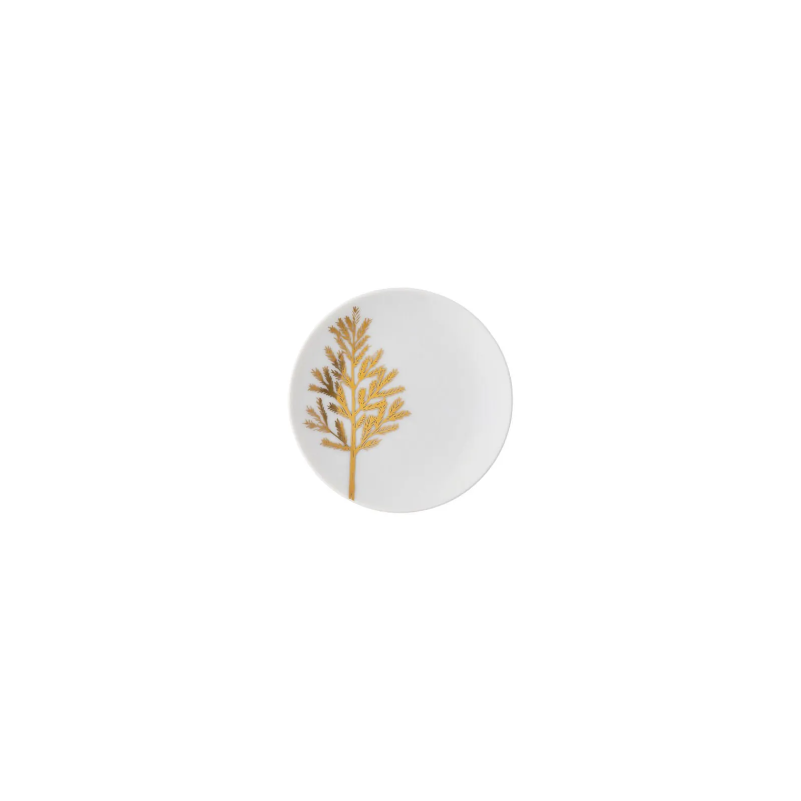 Outlet Rosenthal Set 4 Teller flach 10 cm