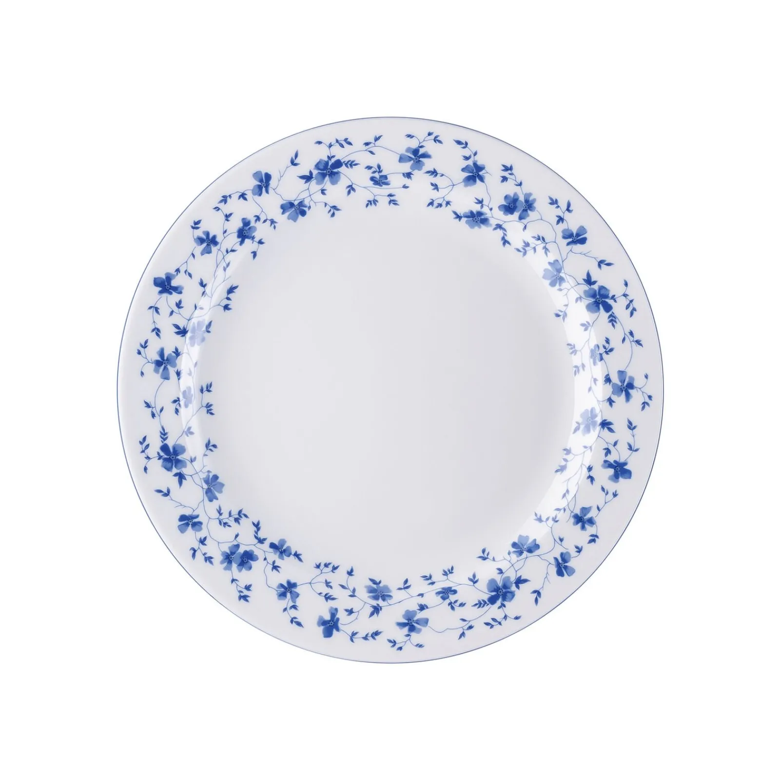 Online Rosenthal Speiseteller 25 cm Fahne