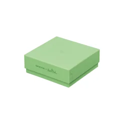 Hot Swarovski x Rosenthal Teller 10 cm